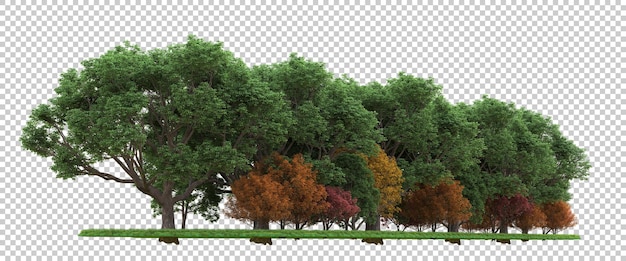 Forest on transparent background 3d rendering illustration