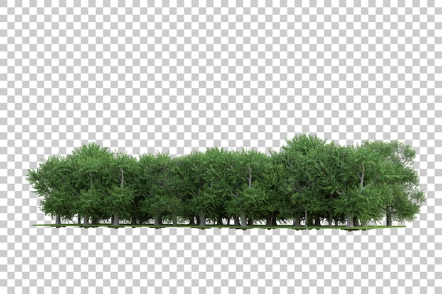 Forest on transparent background 3d rendering illustration