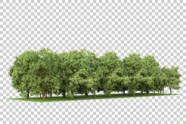 Forest on transparent background 3d rendering illustration