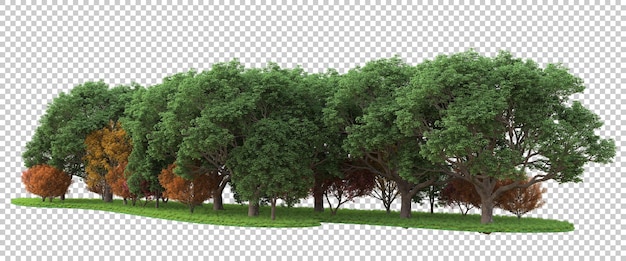 Forest on transparent background 3d rendering illustration