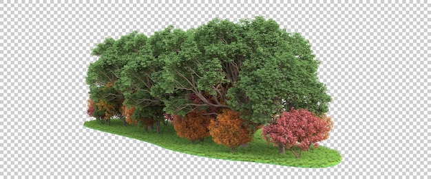 Forest on transparent background 3d rendering illustration