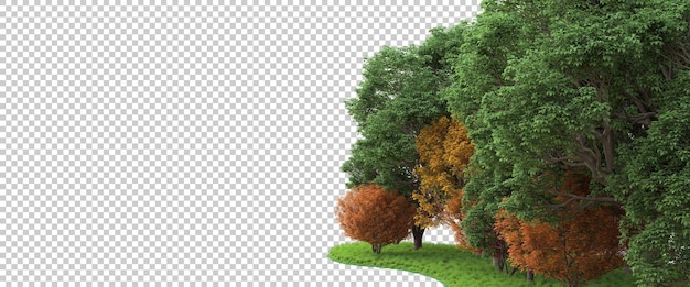 Forest on transparent background 3d rendering illustration