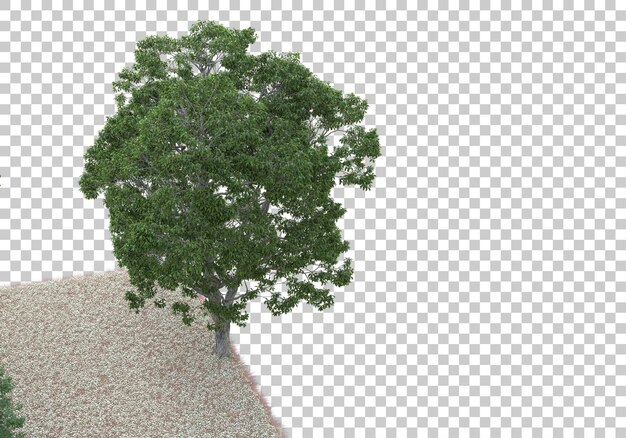 Forest on transparent background 3d rendering illustration