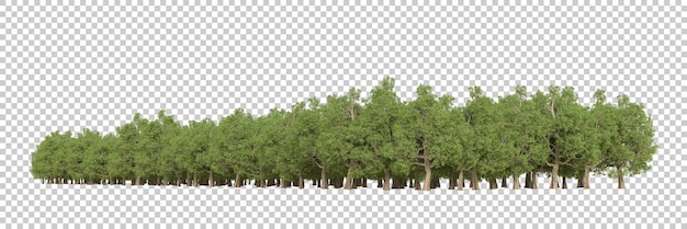 Forest on transparent background 3d rendering illustration