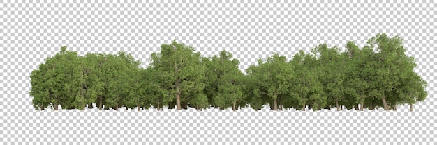 Forest on transparent background 3d rendering illustration