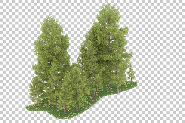 Forest on transparent background. 3d rendering - illustration