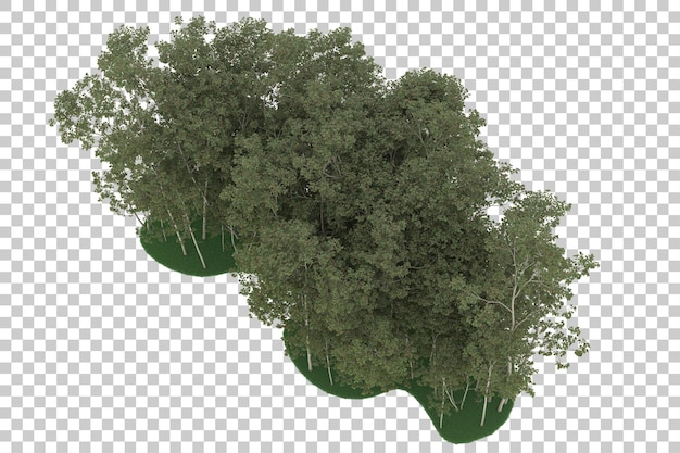 Forest on transparent background. 3d rendering - illustration