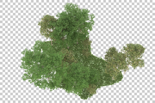 Forest on transparent background. 3d rendering - illustration