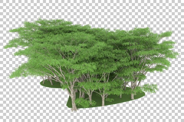 Forest on transparent background. 3d rendering - illustration