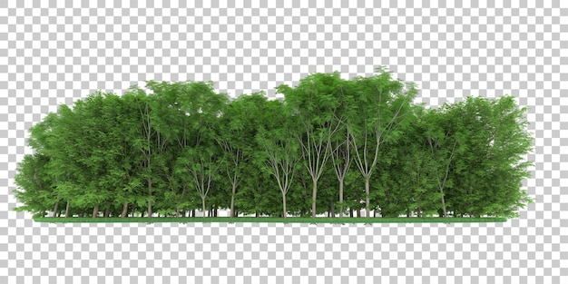 PSD forest on transparent background. 3d rendering - illustration