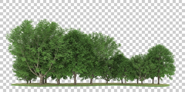 Forest on transparent background. 3d rendering - illustration