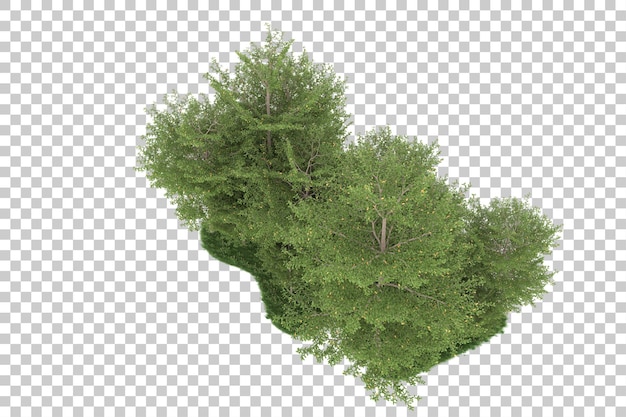 Forest on transparent background. 3d rendering - illustration