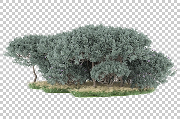 Forest on transparent background. 3d rendering - illustration