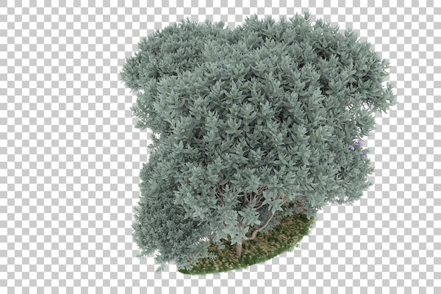 Forest on transparent background. 3d rendering - illustration