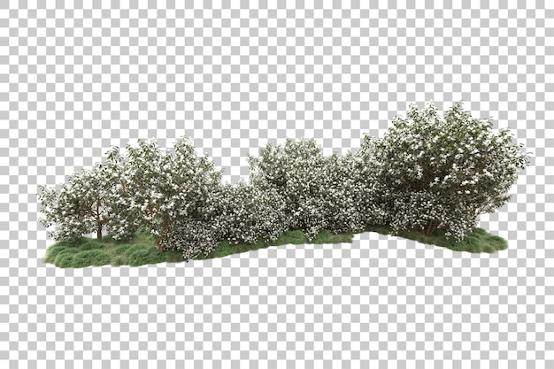 Forest with flowers isolated on transparent background 3d rendering illustration