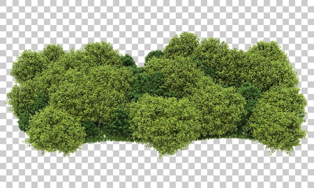 Forrest arrangement on transparent background 3d rendering illustration