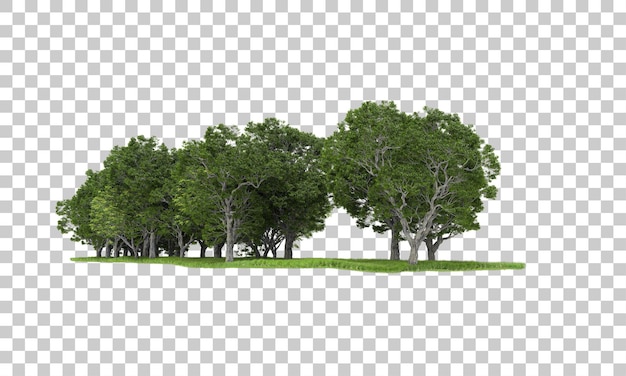 Forrest arrangement on transparent background 3d rendering illustration