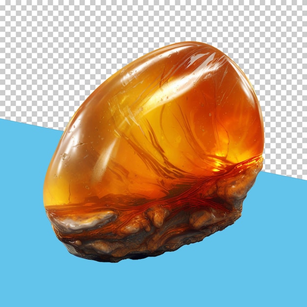 Fossilized amber