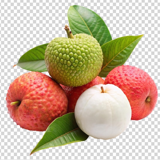 Four fruits on transparent background