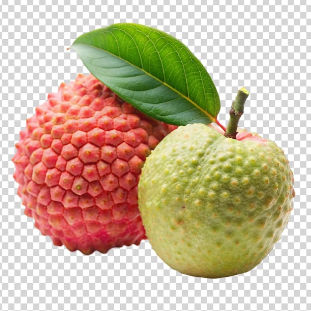 Four fruits on transparent background