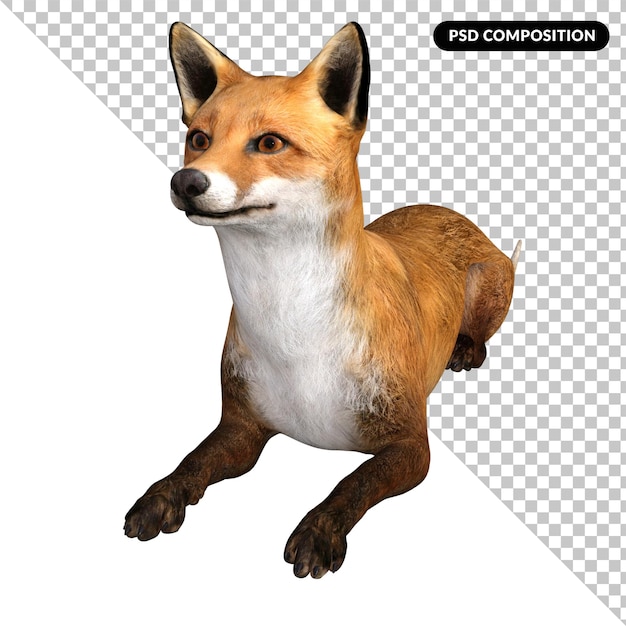 Fox animal character