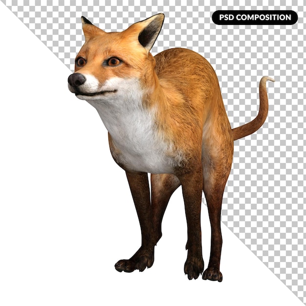 Fox animal character