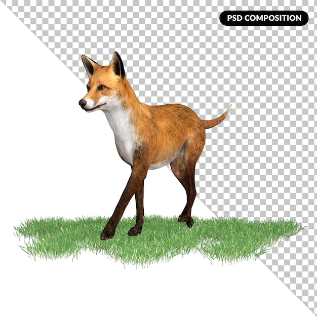 Fox animal character