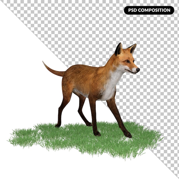 Fox animal character