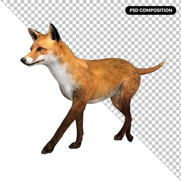 Fox animal character