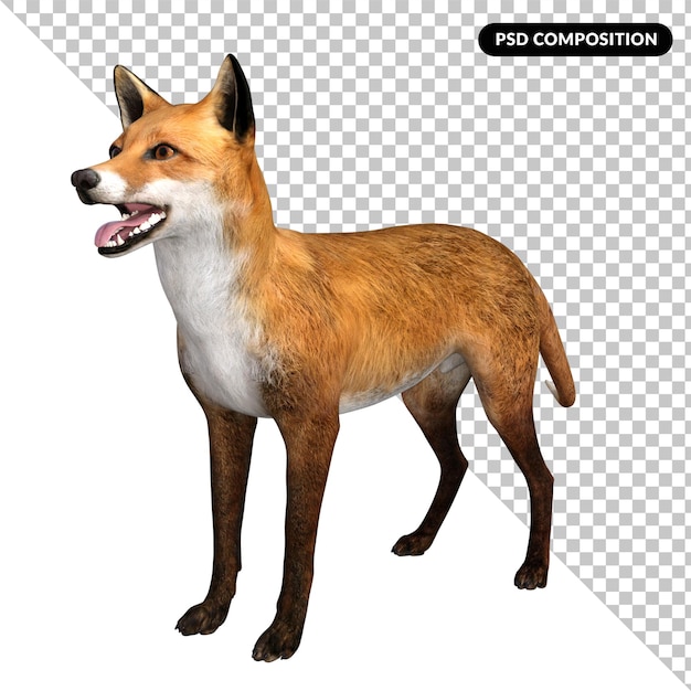 Fox animal character