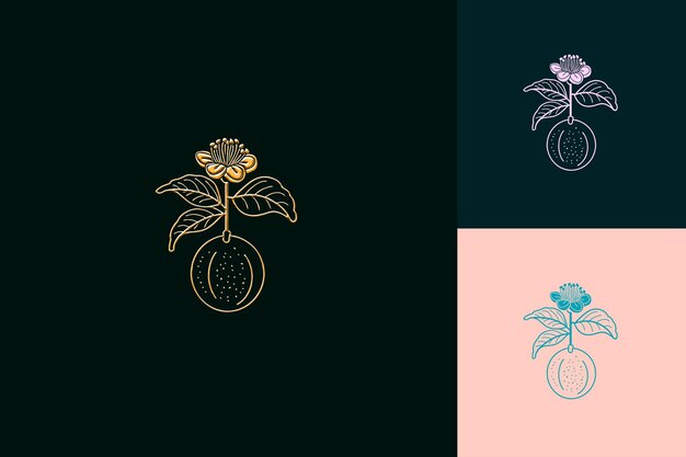 Fragrant Guava Logo With Decorative Leaves and a Blooming Fl Creative and Minimalist Vector Designs