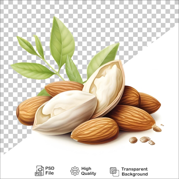 fresh almond isolated on transparent background