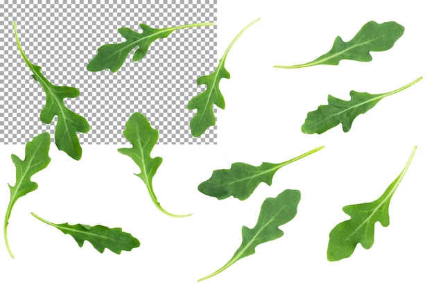 Fresh arugula leaves isolated on transparent background