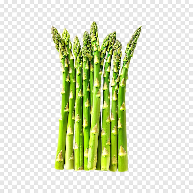 Fresh asparagus bunch isolated on a transparent background