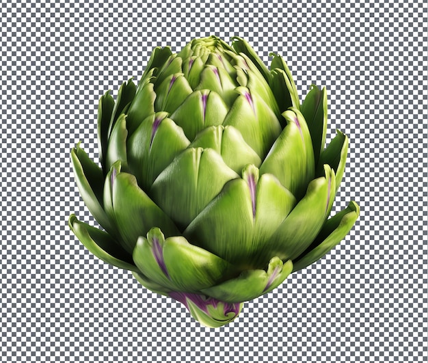 Fresh and beautiful Big Heart Artichoke isolated on transparent background