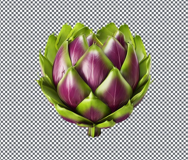 Fresh and beautiful Big Heart Artichoke isolated on transparent background