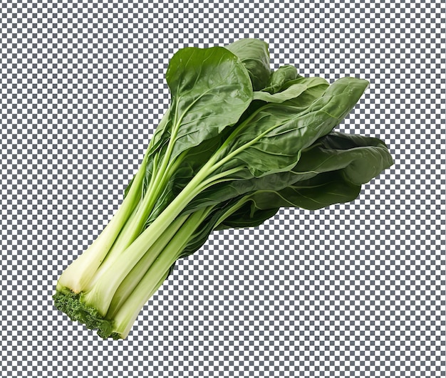 Fresh and beautiful Chinese Broccoli isolated on transparent background