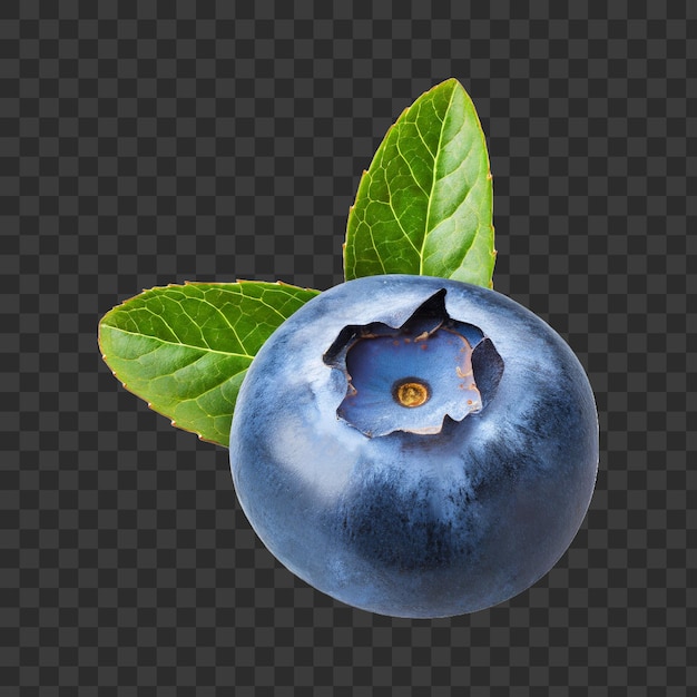 A fresh blueberry with leaf