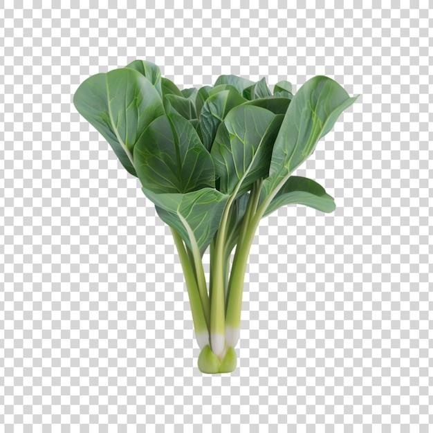 PSD fresh bok choy isolated on transparent background