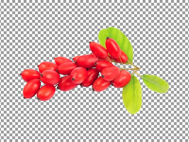 Fresh bunch of barberries isolated on transparent background