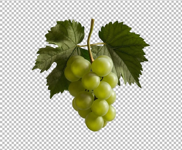 Fresh Bunch of green grapes picked with leaves isolated on a transparent background Ai generative