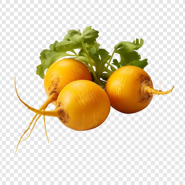 Fresh burpees golden beets isolated on transparent background