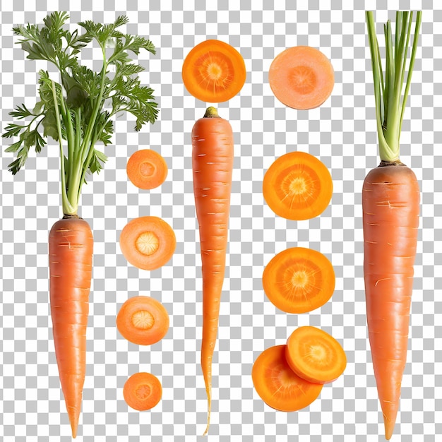 fresh carrot isolated on transparent background