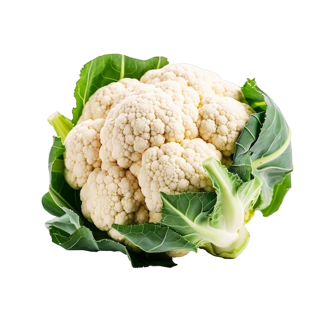 Fresh cauliflower high quality isolated