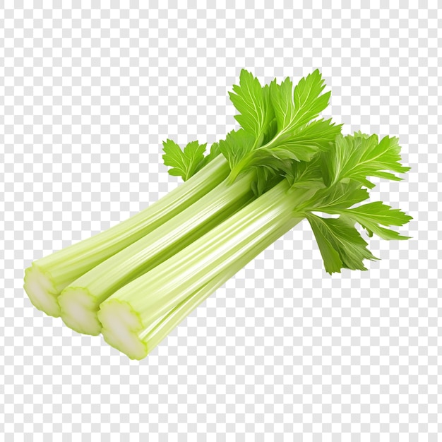 PSD fresh celery stalks with green leaves