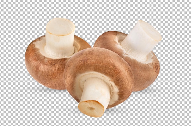 Fresh champignon mushrooms isolated on alpha layer