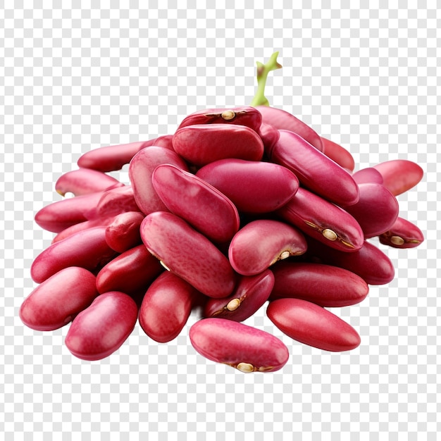 Fresh cranberry beans isolated on transparent background