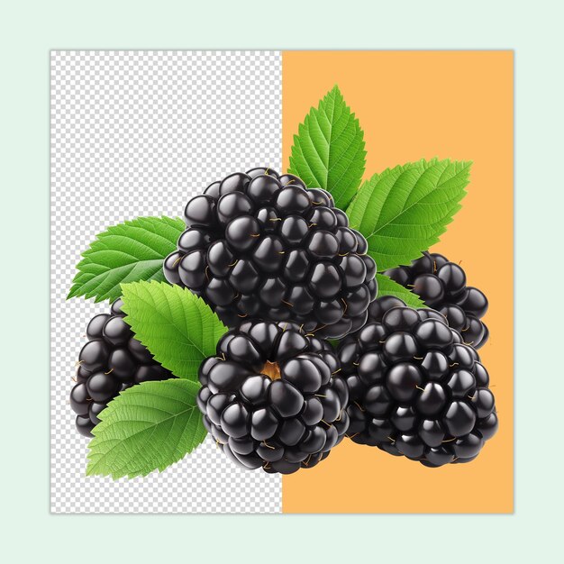 PSD fresh dark blackberry fruits with leaves isolated illustration with a transparent background