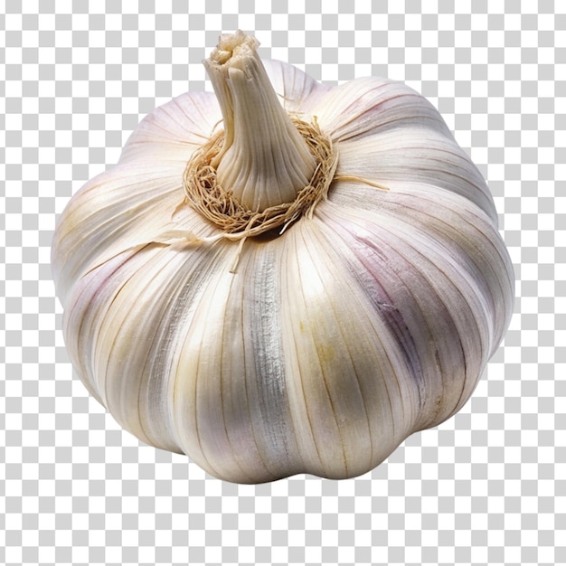 A fresh Garlic isolated on Transparent background