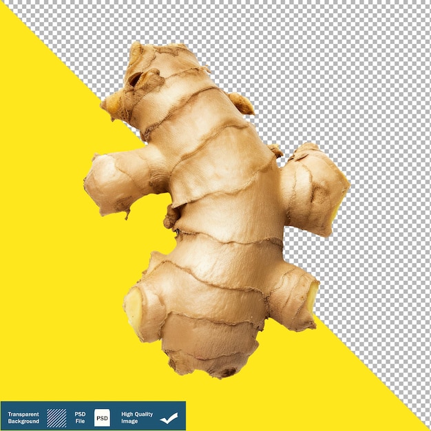 Fresh Ginger Root transparent background PNG PSD